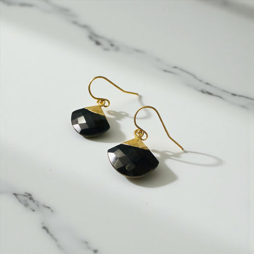 Black Onyx Fan Earrings